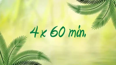 4 Pack - 60 Mins Massages 10% Off