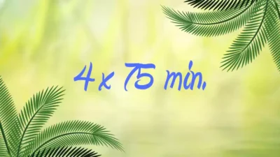 4 Pack – 75 Mins Massages 10% Off