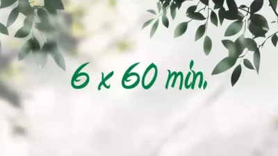 6 Pack - 60 Mins Massages