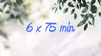 6 Pack - 75 Mins Massages