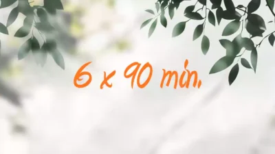 6 Pack - 90 Mins Massages